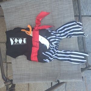Small Dog Pirate Costume with Red Sash